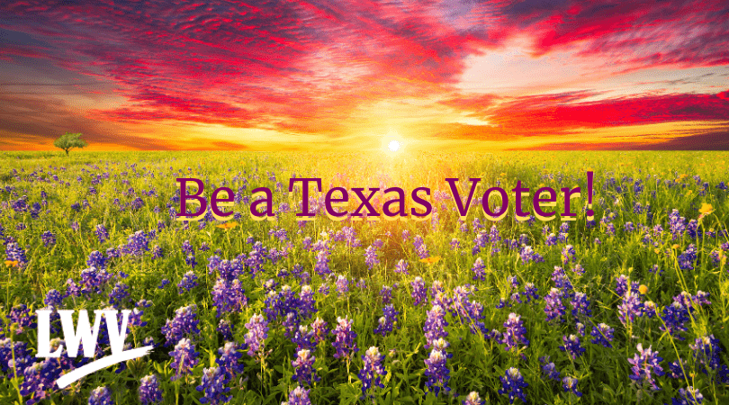 Be a Texas Voter